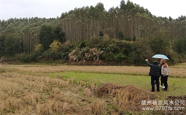 铁岭市陈老师带着爱徒寻龙点穴